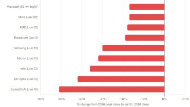 Where Will AI Stocks Go from Here? Where Will AI Stocks Go from Here?