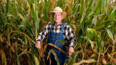 He Made ,000 on Corn Futures. Social Security Asked Whether He Had Corn in the Field. He Made ,000 on Corn Futures. Social Security Asked Whether He Had Corn in the Field.
