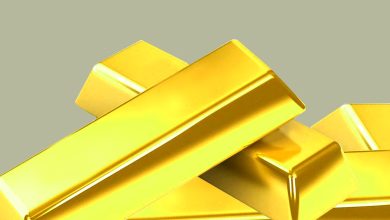 Can Wesdome Gold (TSX:WDO) Justify Its Market Momentum? Can Wesdome Gold (TSX:WDO) Justify Its Market Momentum?