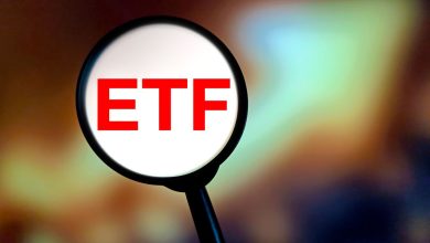 Insurance ETFs Top Defensive Sector Chart In July As Investors Look To Pivot Slightly From Chips And AI Insurance ETFs Top Defensive Sector Chart In July As Investors Look To Pivot Slightly From Chips And AI