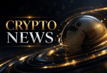 Pepeto Announces Investment Growth While