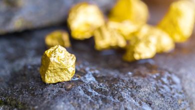 Can Empress Royalty (TSXV:EMPR) Gain From Its North America Deal?