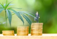 Tilray Brands (NASDAQ:TLRY) Shares Draw Attention Amid Global Expansion Push