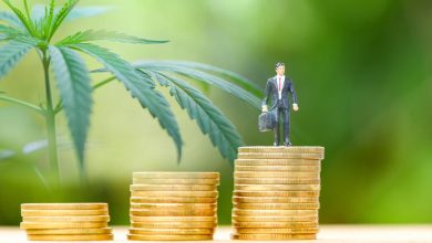 Tilray Brands (NASDAQ:TLRY) Shares Draw Attention Amid Global Expansion Push Tilray Brands (NASDAQ:TLRY) Shares Draw Attention Amid Global Expansion Push