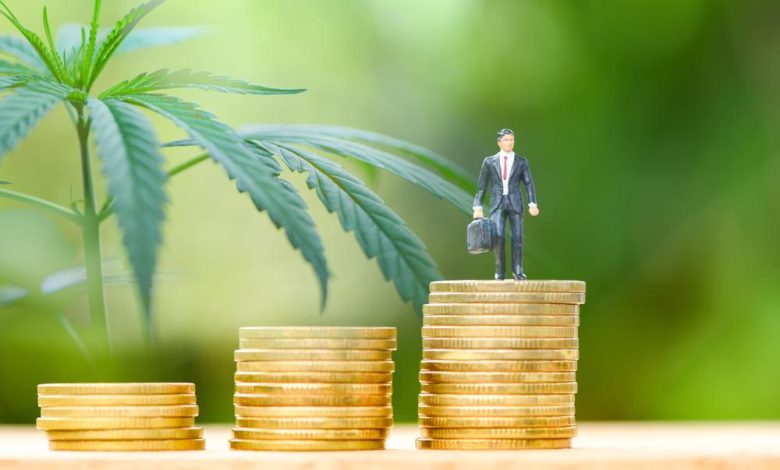 Tilray Brands (NASDAQ:TLRY) Shares Draw Attention Amid Global Expansion Push Tilray Brands (NASDAQ:TLRY) Shares Draw Attention Amid Global Expansion Push
