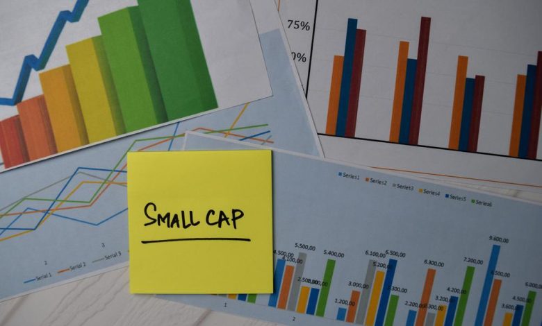 What Makes Sabio Holdings (TSXV:SBIO) Relevant To Smallcap Stocks?
