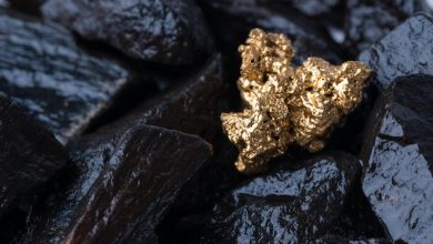 Auro Metals (TSXV:AURO) Intersects 496m Gold-Copper Zone as Santa Barbara Drilling Advances Auro Metals (TSXV:AURO) Intersects 496m Gold-Copper Zone as Santa Barbara Drilling Advances