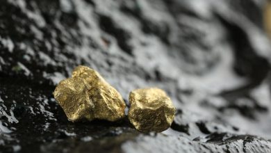 Key Players to Watch as Momentum Builds