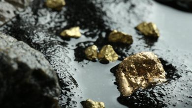 Why Is Power Metallic (TSXV) in Focus Before Nisk Estimate? Why Is Power Metallic (TSXV) in Focus Before Nisk Estimate?