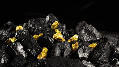 What Could Tali Resources (ASX:TR2) EPS Reveal Next?