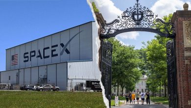 Harvard reveals .2B SpaceX stake after Elon Musk company IPO