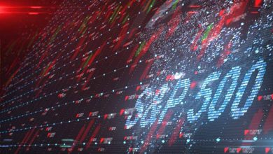 Top 10 best-performing stocks in the S&P 500 this year Top 10 best-performing stocks in the S&P 500 this year