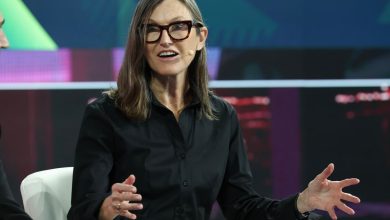 Cathie Wood Is Buying SpaceX Stock as it Sinks 50% Below Its Post-IPO High. Should You Follow Her? Cathie Wood Is Buying SpaceX Stock as it Sinks 50% Below Its Post-IPO High. Should You Follow Her?