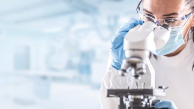 Why Vertex Pharmaceuticals Stock Ticked Higher on Tuesday Why Vertex Pharmaceuticals Stock Ticked Higher on Tuesday