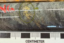 West Red Lake Gold Reports 176.04 g/t Au over 5.3m, 128.32 g/t Au over 4.5m and 35.72 g/t Au over 13.35m from Austin 955 and 904 Complexes