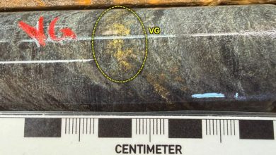 West Red Lake Gold Reports 176.04 g/t Au over 5.3m, 128.32 g/t Au over 4.5m and 35.72 g/t Au over 13.35m from Austin 955 and 904 Complexes