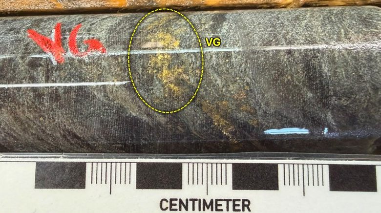 West Red Lake Gold Reports 176.04 g/t Au over 5.3m, 128.32 g/t Au over 4.5m and 35.72 g/t Au over 13.35m from Austin 955 and 904 Complexes