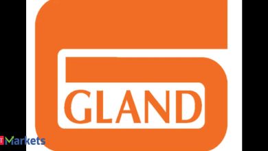 Gland Pharma block deal: Fosun Pharma divests 99 lakh shares worth Rs 2,800 crore Gland Pharma block deal: Fosun Pharma divests 99 lakh shares worth Rs 2,800 crore