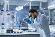 Is Zealand Pharma (CPSE:ZEAL) Undervalued After Its Phase 3 Launch And CHMP Backing?