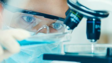 Ascletis Pharma (SEHK:1672) Following FDA Clearance Looks About Right At 3.8x P B