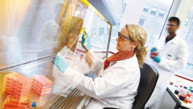 Bayer (XTRA:BAYN) Nears .25 Billion Roundup Hearing As FDA Clears New Lung Cancer Drug
