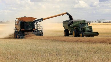 Why Canadian Potash Stocks Could Be Sitting On A Major Opportunity Why Canadian Potash Stocks Could Be Sitting On A Major Opportunity