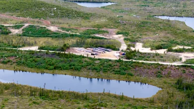 Power Metallic Unveils Over 4.7 Million Tonne Maiden Resource at Lion with Sub-One Year Payback Potential – Article