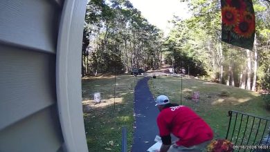 Woman says a political canvasser stole an Amazon package from her porch Woman says a political canvasser stole an Amazon package from her porch