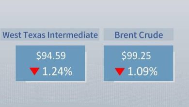 Crude futures settle lower