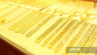 Transparency of the gold market from data, no more procedures Transparency of the gold market from data, no more procedures