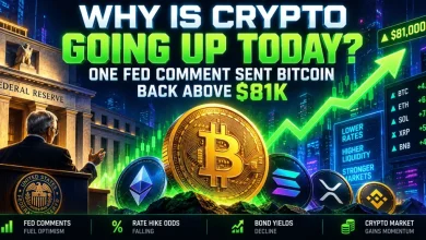 Why Is Crypto Going Up Today? One Fed Comment Sent Bitcoin Back Above K Why Is Crypto Going Up Today? One Fed Comment Sent Bitcoin Back Above K
