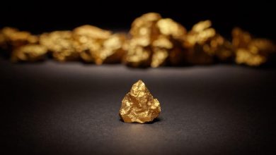 Can Newmont GoldCorp (NYSE:NEM) Adapt As The Gold Market Shifts?