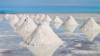 Why Frontier Lithium Inc. (TSXV:FL) Is Trending Now?