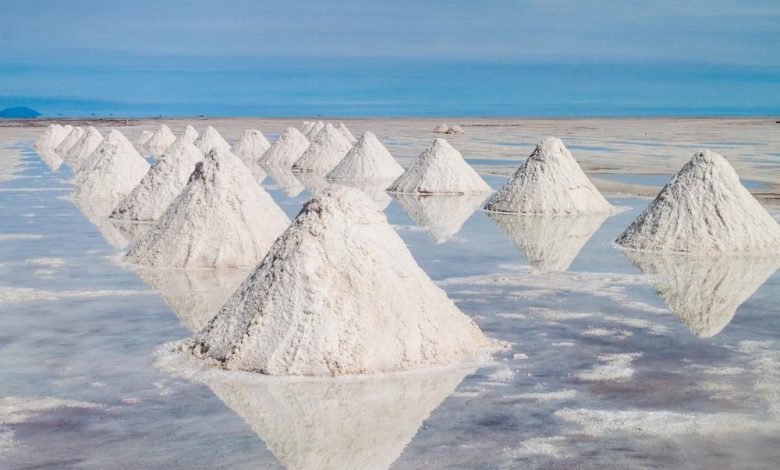 Why Frontier Lithium Inc. (TSXV:FL) Is Trending Now?