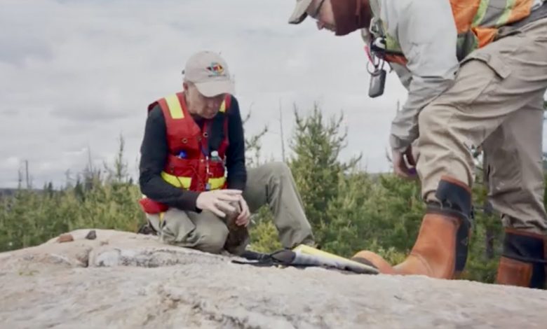 Power Metallic CEO sees low costs despite lower first tonnage at Lion in Quebec