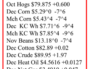 Cattle Futures Recover as Packers Maintain Positive Margins Cattle Futures Recover as Packers Maintain Positive Margins