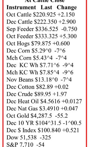 Cattle Futures Recover as Packers Maintain Positive Margins