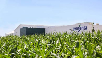 Syngenta HK IPO: AgriFood Signals