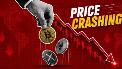 Why is Crypto Down Today? Why is Crypto Down Today?