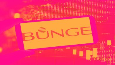 Bunge Global and Nature’s Sunshine Shares Are Falling, What You Need To Know Bunge Global and Nature’s Sunshine Shares Are Falling, What You Need To Know