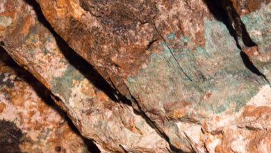 Power Metallic hits high-grade copper at depth, extending Lion deposit below resource estimate Power Metallic hits high-grade copper at depth, extending Lion deposit below resource estimate