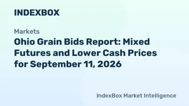 Ohio Grain Bids: Mixed Futures, Lower Cash Prices – September 11, 2026 – News and Statistics Ohio Grain Bids: Mixed Futures, Lower Cash Prices – September 11, 2026 – News and Statistics