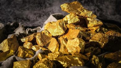 Forrestania acquires Edna May Gold Project in 5m deal
