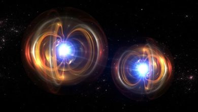 Holtec Nuclear Targets .2 Billion Valuation in Nasdaq IPO