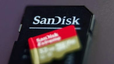 Why SNDK, DELL, PANW Stocks Are Rallying Overnight Ahead Of Fresh Trading Week