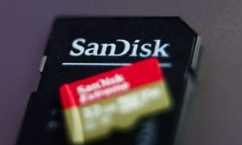 Why SNDK, DELL, PANW Stocks Are Rallying Overnight Ahead Of Fresh Trading Week