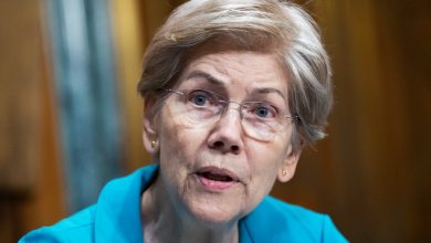 Elizabeth Warren Rallies Democrats Against Crypto In Senate Showdown