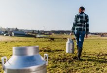 The Inherited-Farmland Tax Break That Shrinks Every Year a 61-Year-Old Holds Onto Her Father’s 160 Acres
