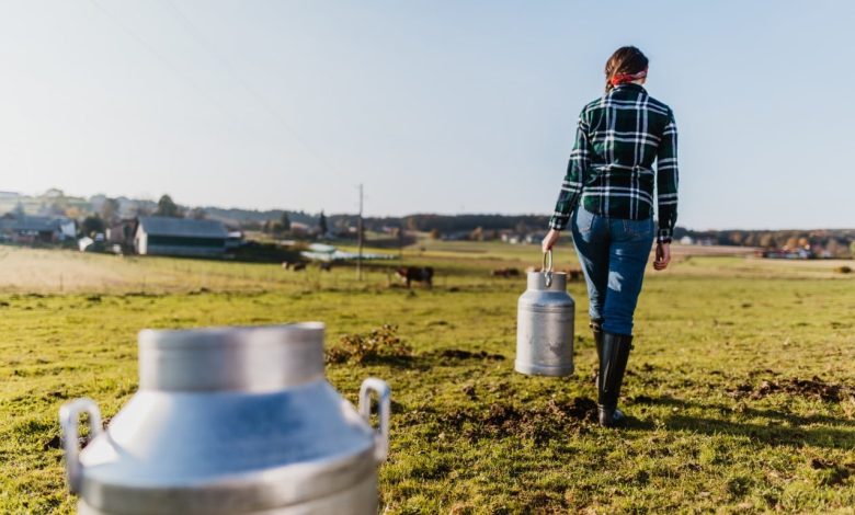 The Inherited-Farmland Tax Break That Shrinks Every Year a 61-Year-Old Holds Onto Her Father’s 160 Acres