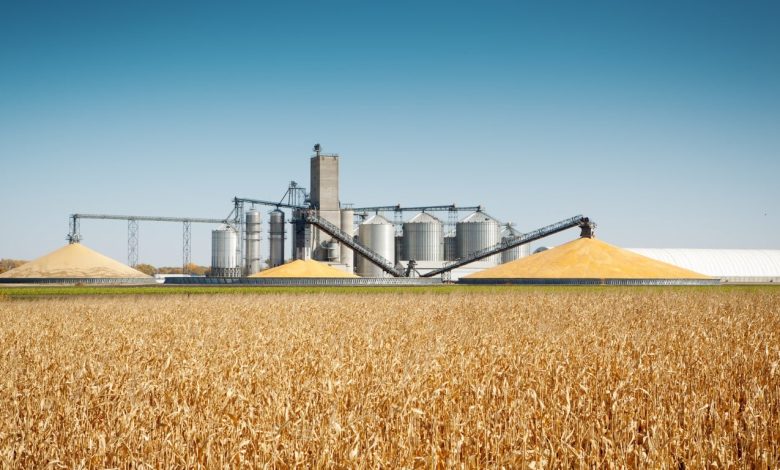 He Borrowed Against the Corn Instead of Selling It. One Tax Election Made the Loan Part of the Farm Income Social Security Counts. He Borrowed Against the Corn Instead of Selling It. One Tax Election Made the Loan Part of the Farm Income Social Security Counts.